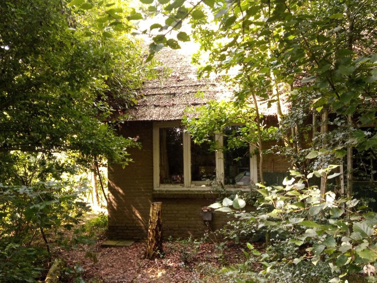 De Hoeve Mare Terre Giethoorn, Voor 1 Tot 6 Personen ภายนอก รูปภาพ