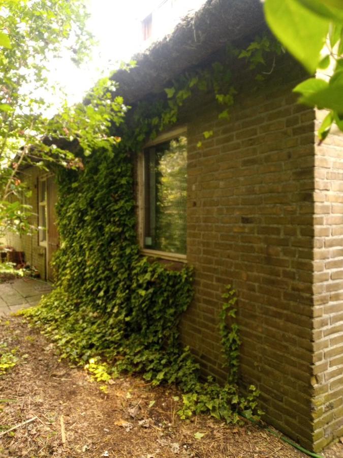 De Hoeve Mare Terre Giethoorn, Voor 1 Tot 6 Personen ภายนอก รูปภาพ